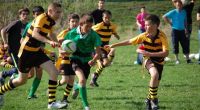 Szkolenie Licencyjne Rugby Tag