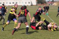 III Honey Cup dla Poland Veterans