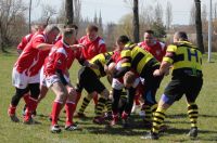 III Honey Cup dla Poland Veterans