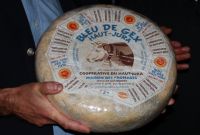 Lekcja francuskiego rugby