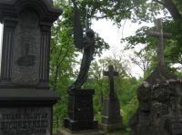 Wilno - Żelazne Wilki pokazały kły