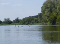 Spływ Kajakowy XIX Memoriału Dzidka